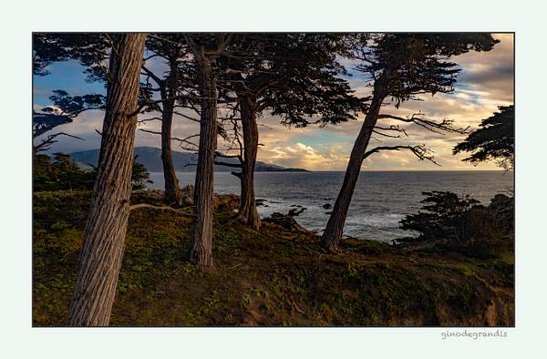 Monterey Bay by Gino De  Grandis