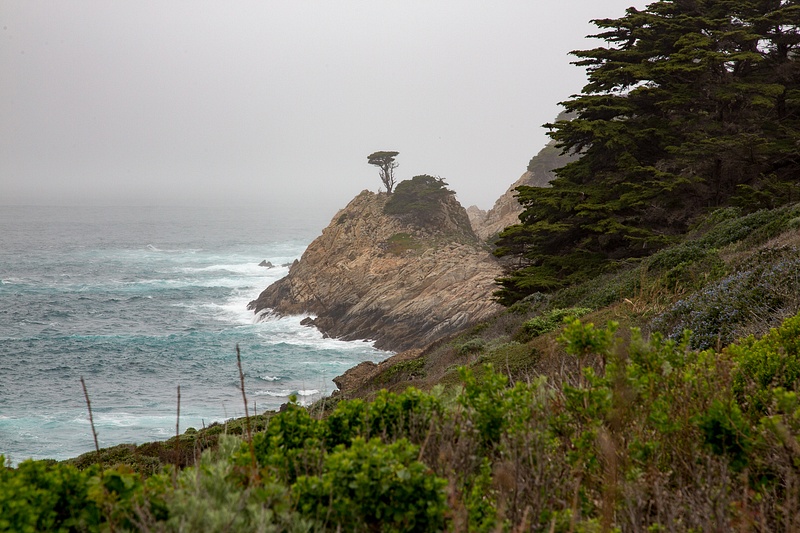 Point Lobos-24.jpg