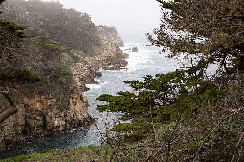 Point Lobos-18.jpg