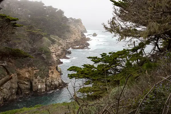 Point Lobos-18.jpg by Harrison Clark