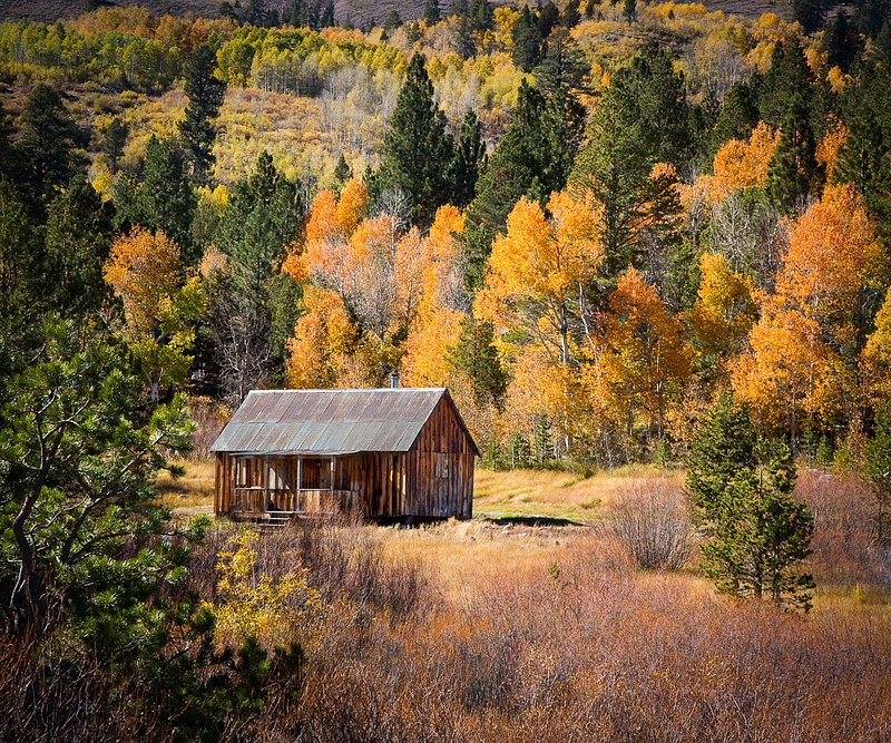 Carson Pass Cabin in Fall.jpg