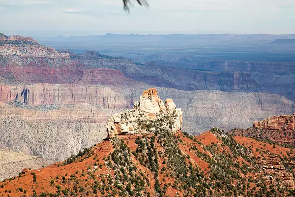 Grand Canyon North Rim-12 by Harrison Clark