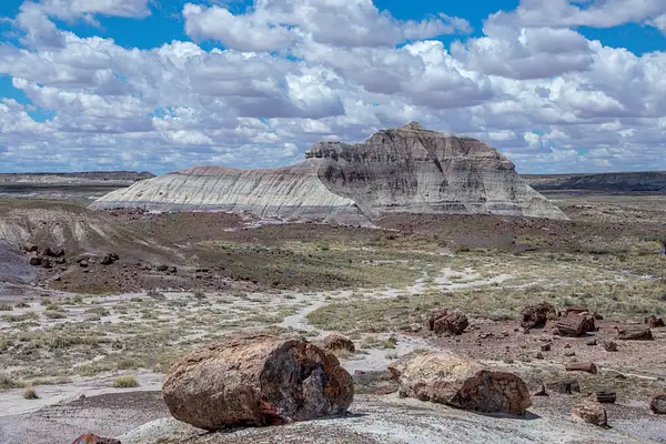 Petrified Forest National Park by Harrison Clark