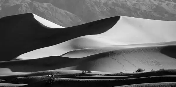 Dunes Near Stove Pipe Wells by Harrison Clark