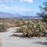 Anza Borrego Desert State Park CA 2019