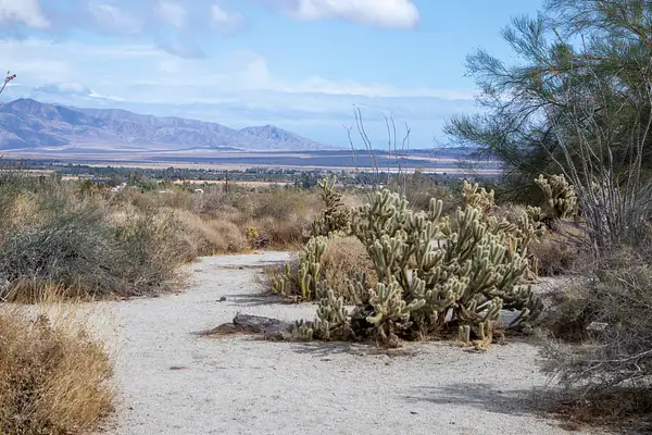 Anza Borrego Desert State Park CA 2019 by Harrison Clark