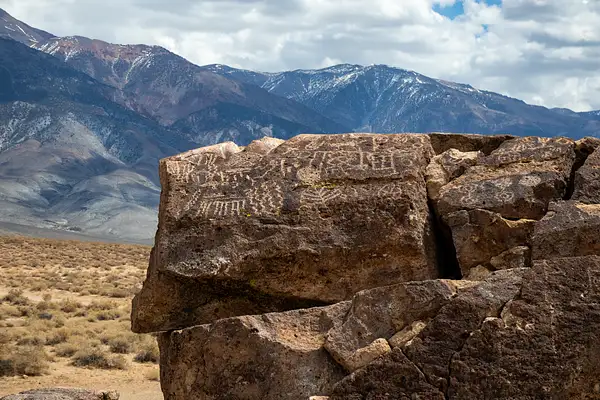 Petroglyphs East of Bishop CA by Harrison Clark