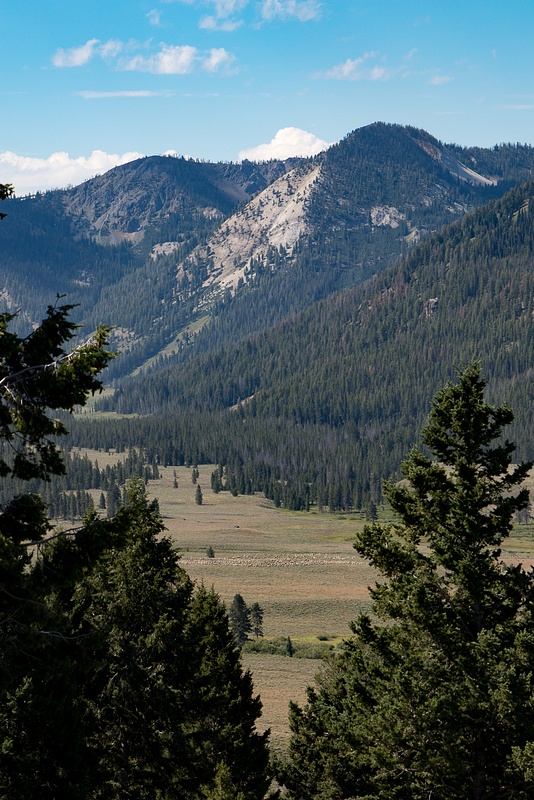 Sheep in the Shadow of the Sawtooth Range-2