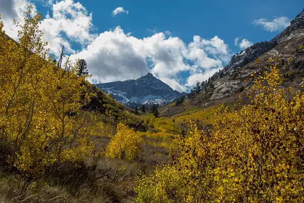 Ruby Mountains NV by Harrison Clark