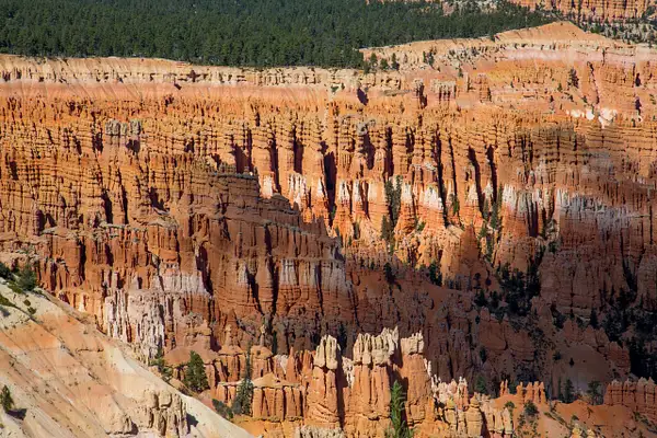 Bryce Canyon-21 by Harrison Clark