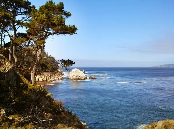 Point Lobos 5 by HowardBarkan