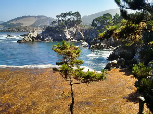 Point Lobos 6 by HowardBarkan