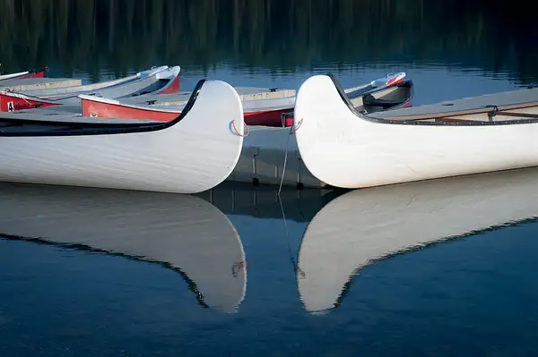 'Twin Canoes' by Tom Watson