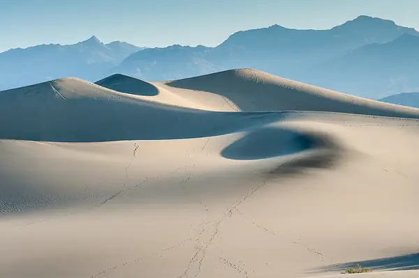 'Death Valley Dunes' by Tom Watson