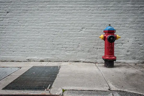 Fire Hydrants-6 by Tom Watson