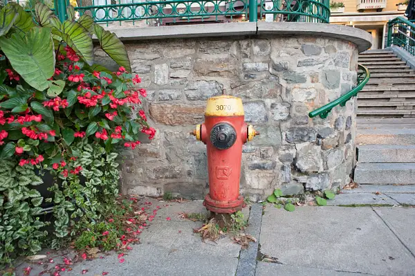 Fire Hydrants-5 by Tom Watson