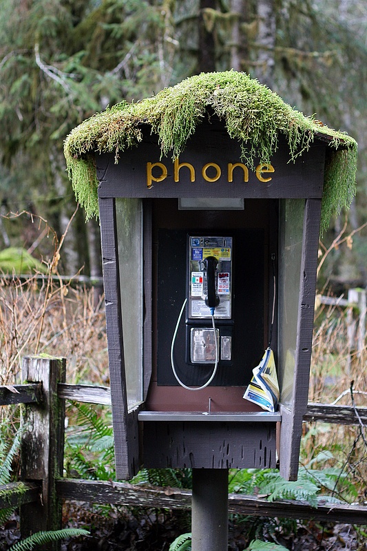 One of the Last Pay Phones, Ho Rainforest, Olympic National Park, Washington