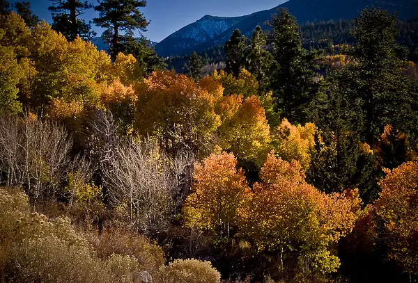 East Sierra Colors by Earle Ipsen