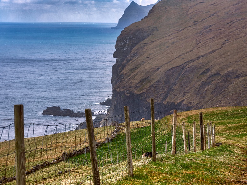 Fence and Cliffs