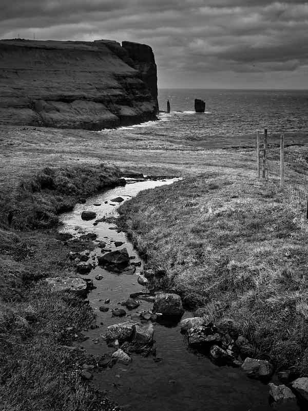 Stacks at the End of the Brook in BW