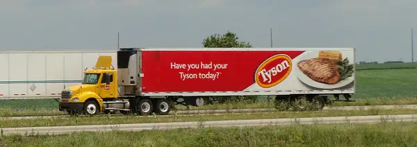 Tyson by Truckinboy