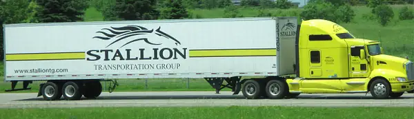 Stallion by Truckinboy