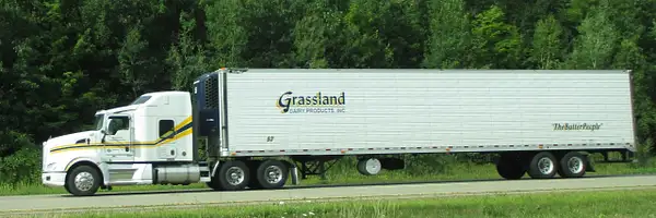 Grassland 2 by Truckinboy