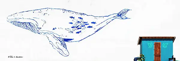 140718035 Blue Whale, Midtown Reno by John Goldberg