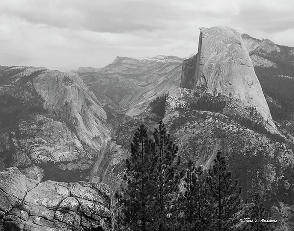 150405001BW Half Dome from Washburn Point by John...