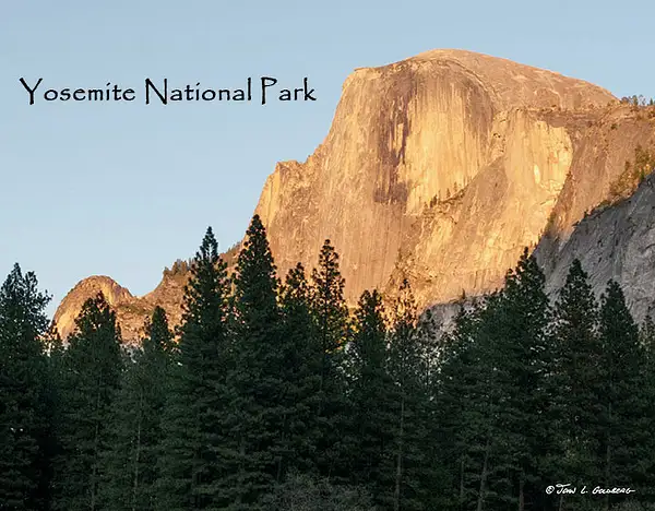 Cover 150403034 - Half Dome from near Curry Village by...