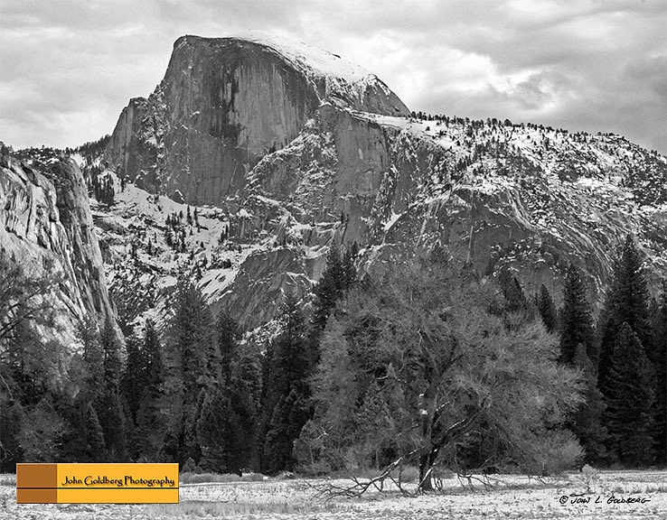 160104005BW Half Dome and The Maple Tree - Meadow Facing Yosemite Falls
