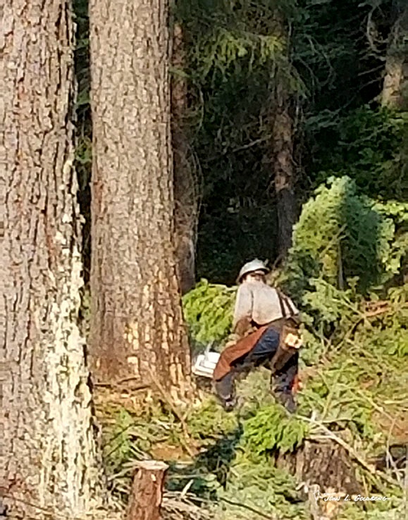 180703003 FIT 2018 Logging at Sierra Pacific Property