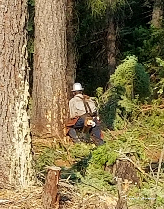 180703002 FIT 2018 Logging at Sierra Pacific Property
