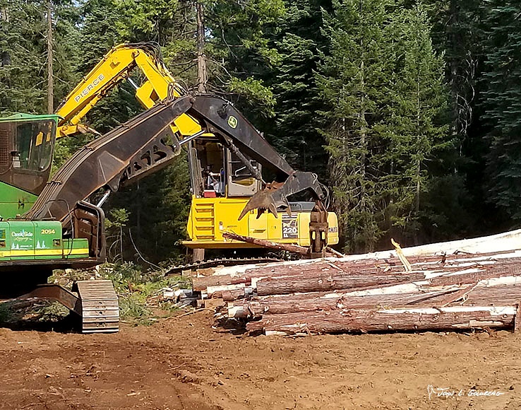 180703015 FIT 2018 Logging at Sierra Pacific Property