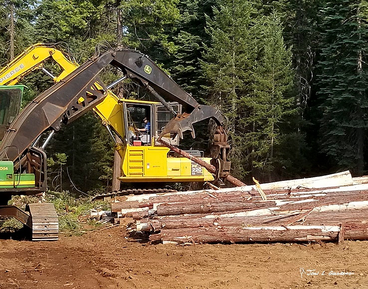 180703016 FIT 2018 Logging at Sierra Pacific Property