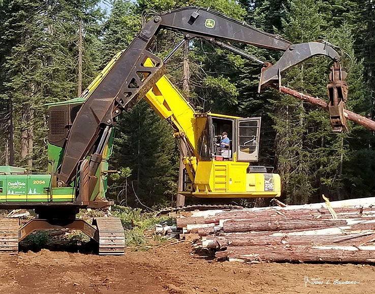 180703017 FIT 2018 Logging at Sierra Pacific Property