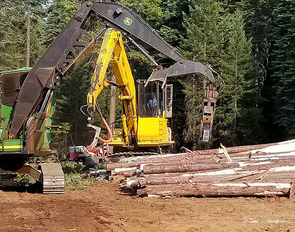 180703018 FIT 2018 Logging at Sierra Pacific Property by...