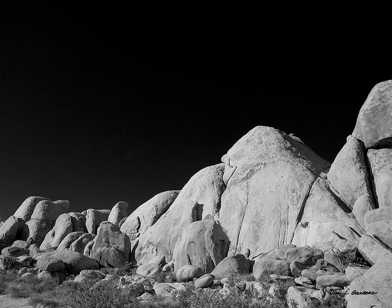 190620017BW White Tank Rocks, Joshua Tree NP