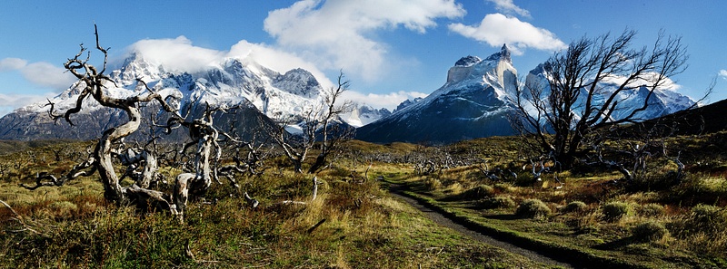 Chile & Patagonia
