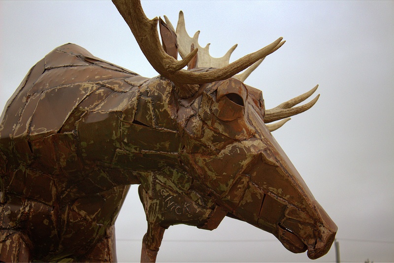 Moose Sculpture - Christina Nick
