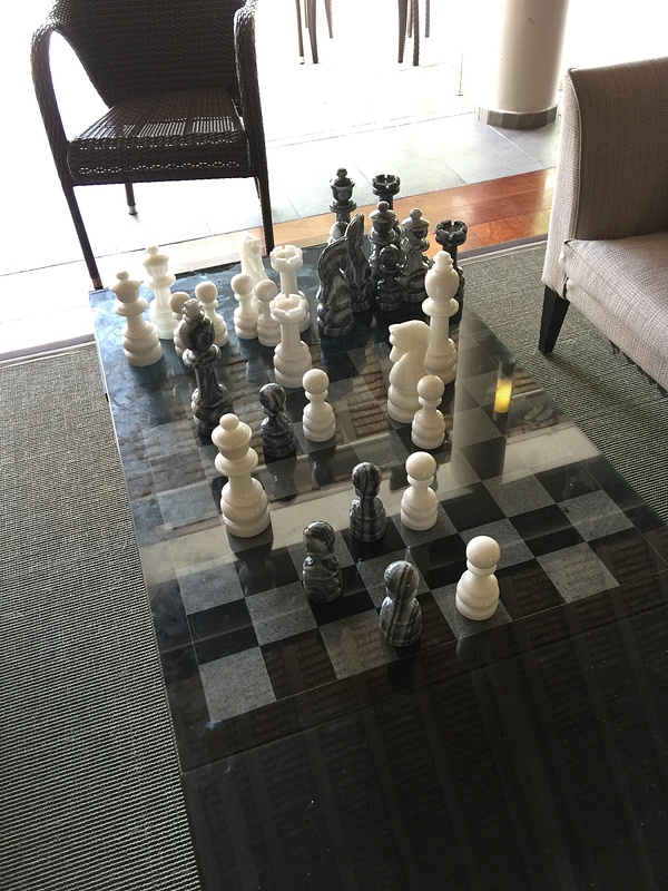 Chess anyone