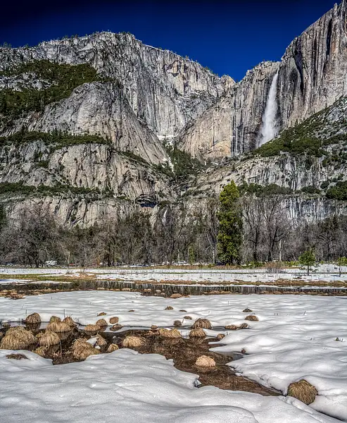 Yosemite Early Spring-Marvin Miller-EPSA by Yerba Buena...