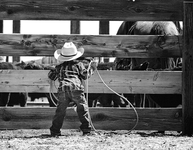 Little Cowboy-CarolSilveira