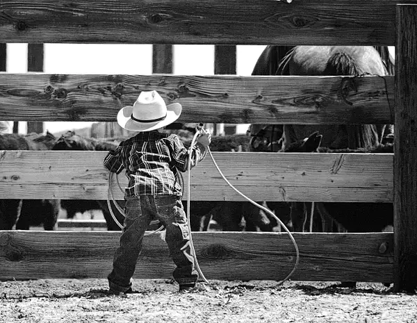 Little Cowboy-CarolSilveira by Yerba Buena Chapter of PSA