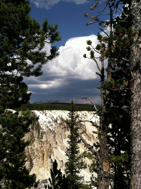 Thunderheads,_Grand_Canyon_of_the_Yellowstone_-_Deborah_Boller