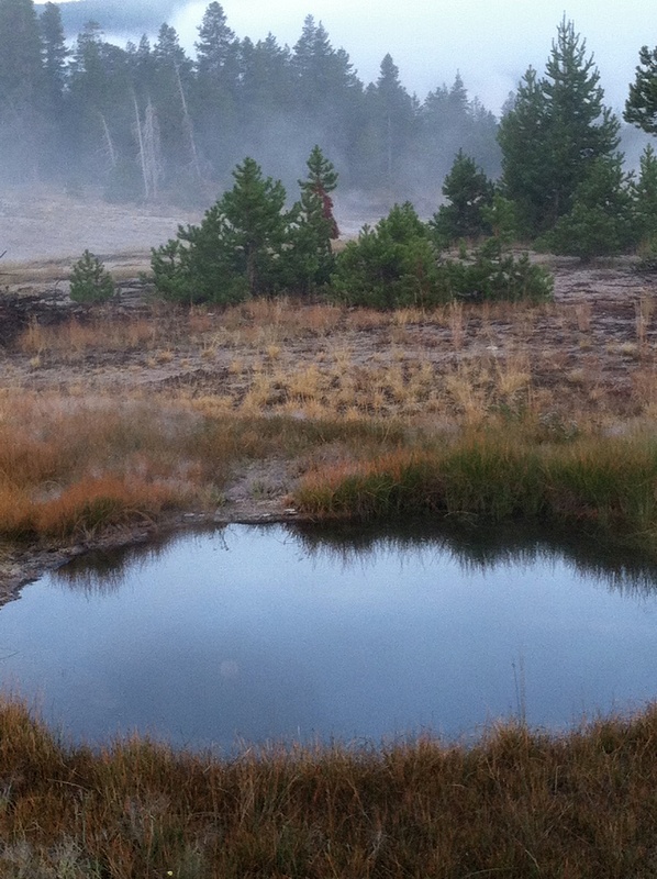 Reflection,_Yellowstone_Morning_-_Deborah_Boller