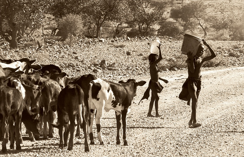 Namibian Boys with Water ad Cattle - Stuart Bacon