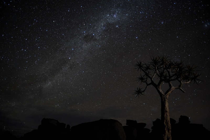 Milky Way with Quiver Tree-Burr Preston,PPSA