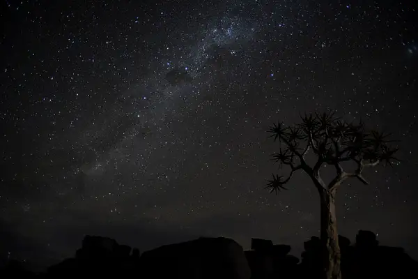Milky Way with Quiver Tree-Burr Preston,PPSA by Yerba...