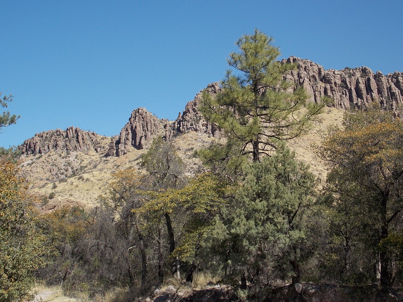 Chiriachua NP SSM Trail View